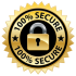 SNM_secure_badge_large